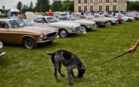 Plus de 80 Volvo P1800 étaient disposées dans les allées ou au pied du château de Beauregard.